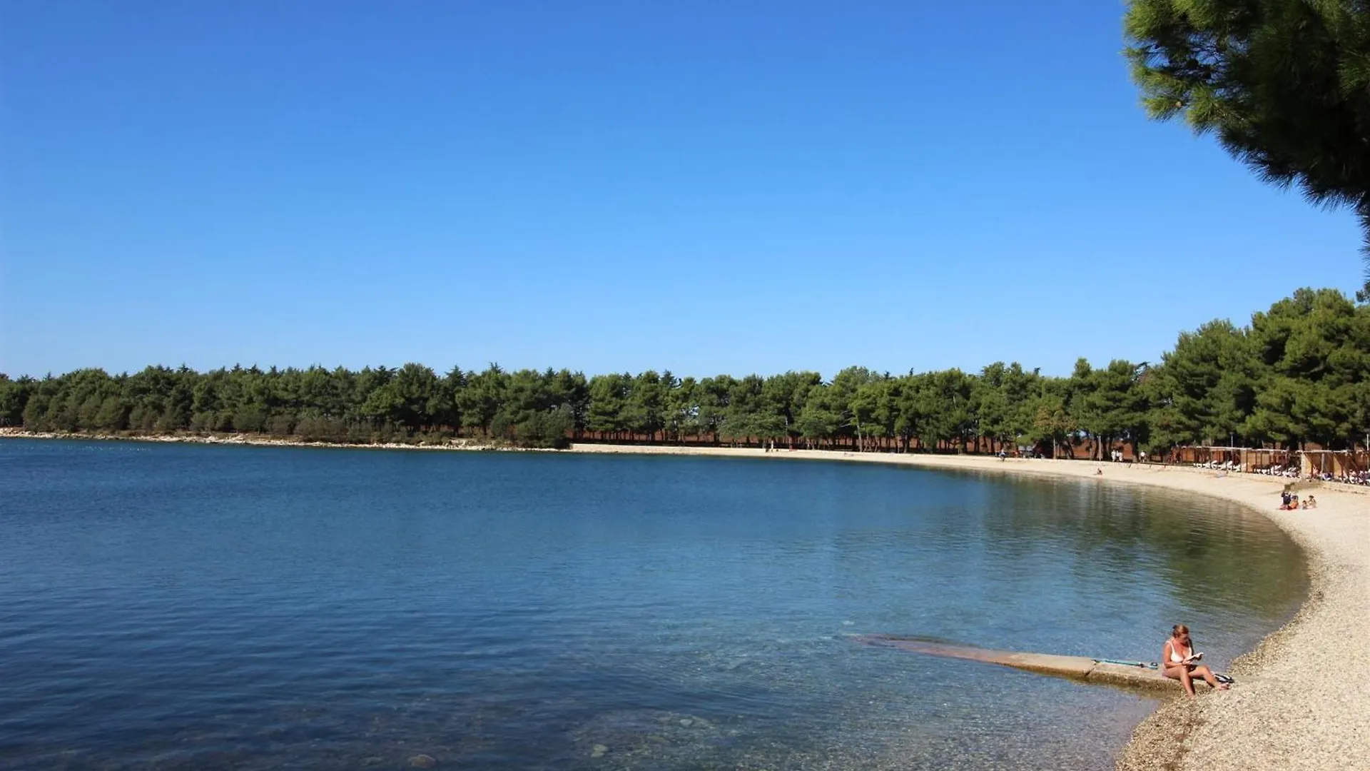 Zeljko Nr2 From The Beach 800 M Novigrad  Croatia